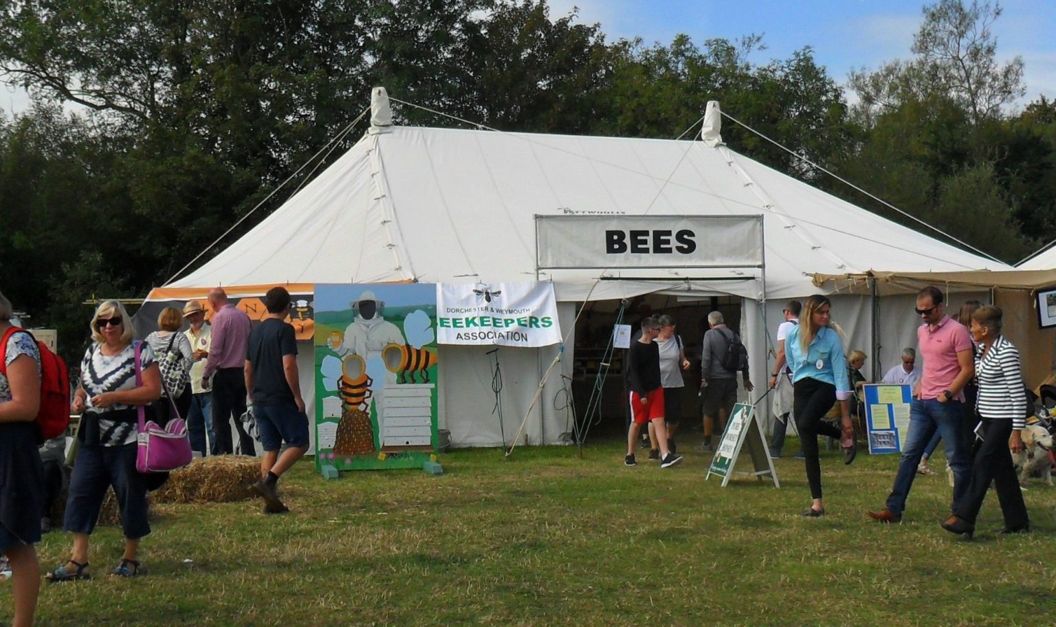 Dorset Beekeepers Association Home of the beekeepers of Dorset